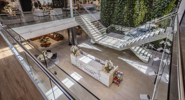 A SYMPHONY OF DESIGN AND NATURE: The Furniture Gallery Redefines the Retail Experience with Extraordinary New Flagship Store