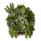 Succulent Mix Scarlett Bowl Green Large - Glass