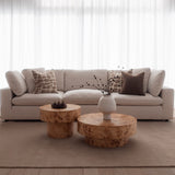 Astor Coffee Table - Burl Wood
