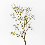 Babys Breath Spray - White
