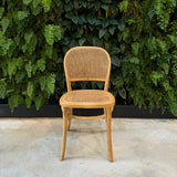 Camilla Elm Wood Chair - Natural