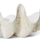 Clam Shell Sculpture - Large