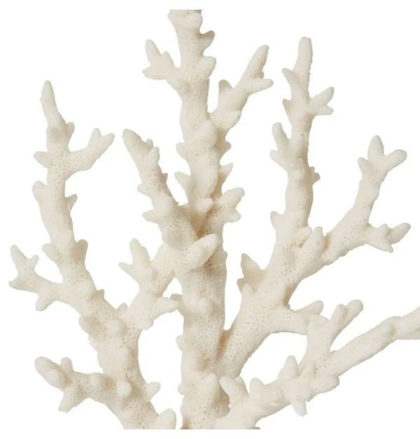 Coral Finger Sculpture - White