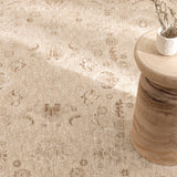 Delphine Warm Biscotti Vintage Rug - Beige