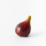 Fruit Fig - Burgundy