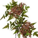 Pepper Berry Spray - Brown