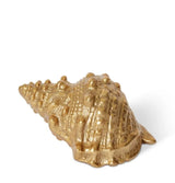 Horse Conch Sculpture