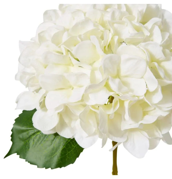 Hydrangea Classic Large Stem - White