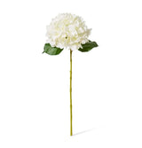 Hydrangea Classic Large Stem - White