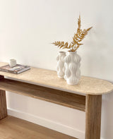 Ines Console