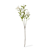 Protea Orientale Spray - White