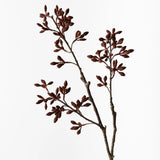 Simplex Seed Spray - Chocolate Brown