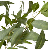 Gum Tree - Grey Green