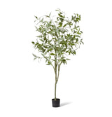 Gum Tree - Grey Green