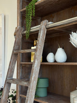 London Library with Ladder