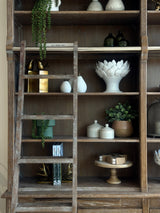 London Library with Ladder