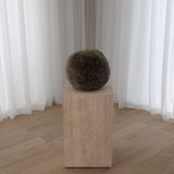 Orbit Cushion Large - React Fern