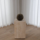 Orbit Cushion Small - React Fern