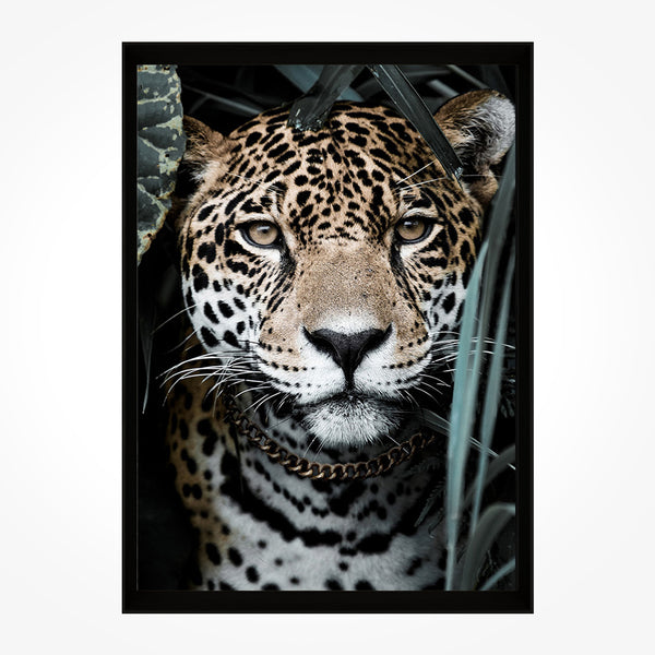 Maison - Black Frame