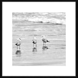 Seaside Trio Print - Black Frame