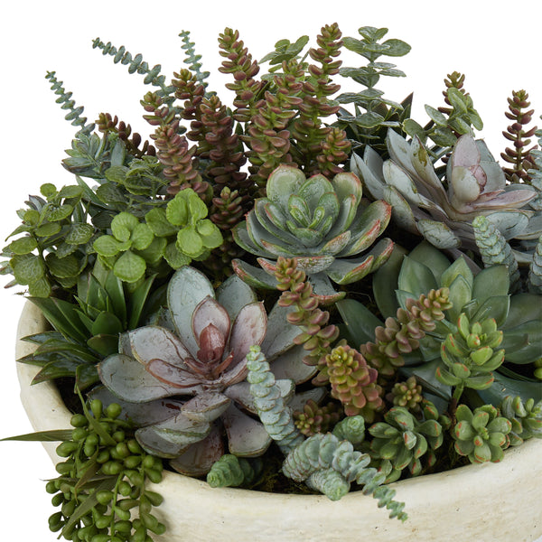 Succulent Garden - Textured Cement Pot Green-Cream