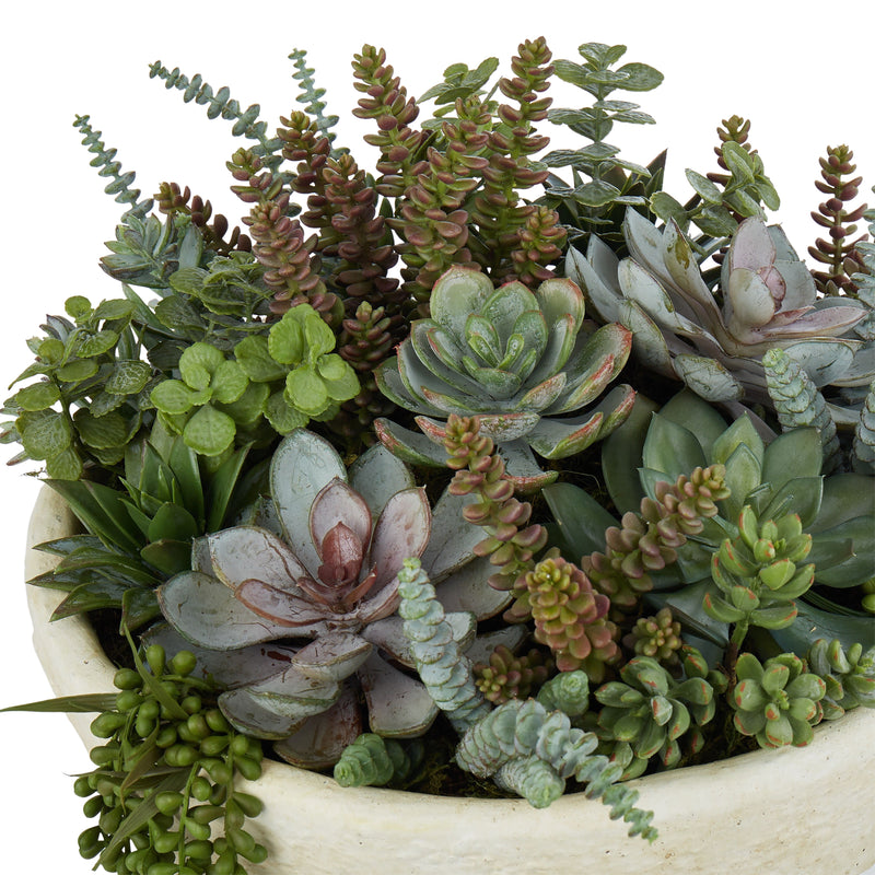 large succulent plants australia Buy Succulent Garden Textured Cement Pot in Perth, Osborne Park, Joondalup, WA – The Furniture Gallery