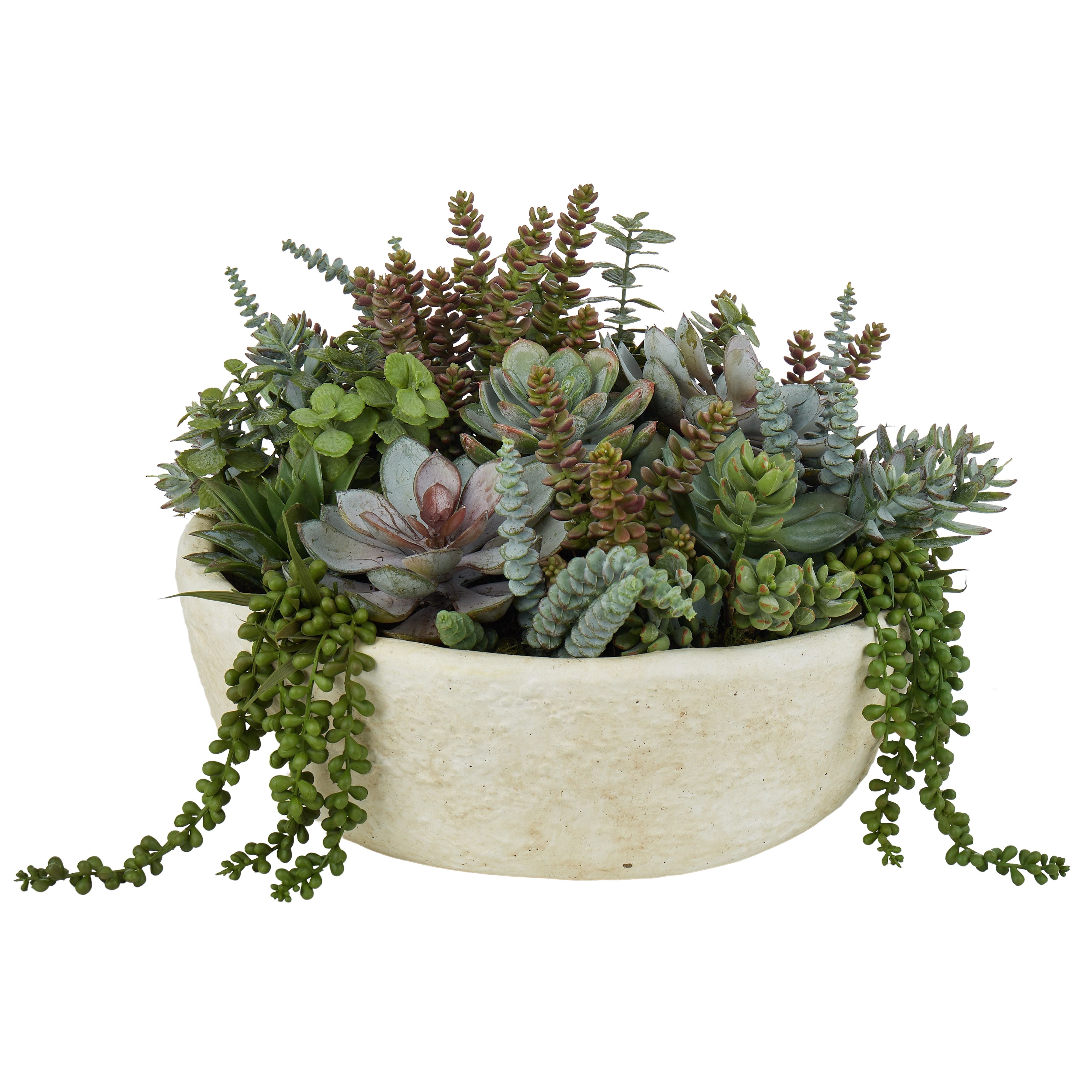 Buy Succulent Garden Textured Cement Pot in Perth, Osborne Park ...