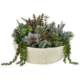 Succulent Garden - Textured Cement Pot Green-Cream