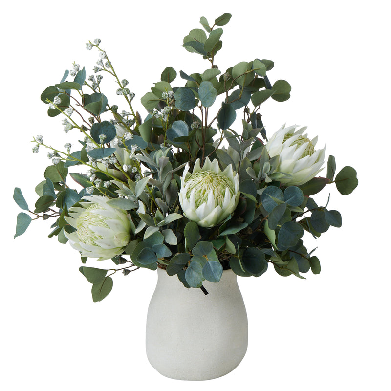 protea plant in pot Buy King Protea Native Mix in Maliah Pot in Perth, Osborne Park, and Joondalup, WA – The Furniture Gallery