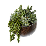 Succulent Mix Scarlett Bowl Small - Glass