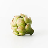 Vegetable Artichoke