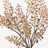 Berry Pepper Bush - Natural
