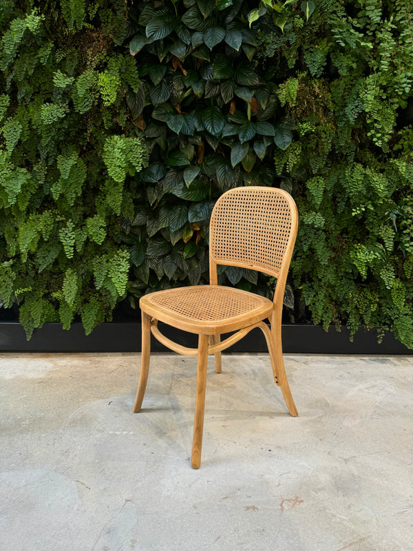 Camilla Elm Wood Chair - Natural