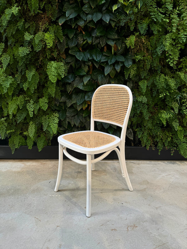 Camilla Elm Wood Chair - White