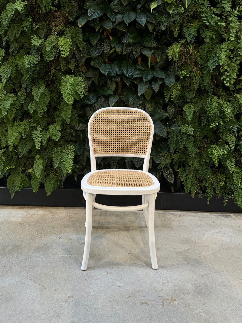 Camilla Elm Wood Chair - White