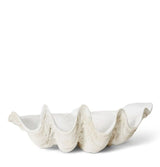 Clam Shell Sculpture - Large