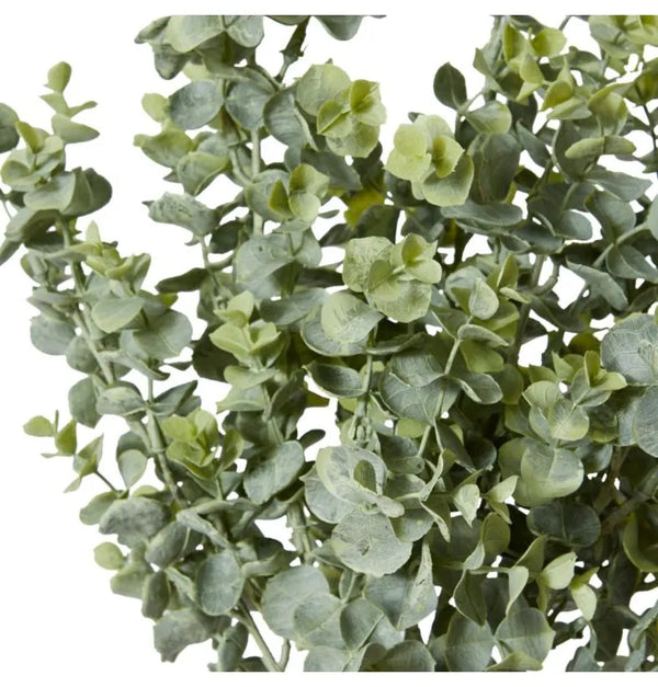 Eucalyptus Bundle - Grey Green