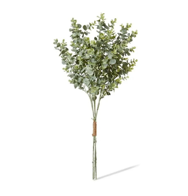 Eucalyptus Bundle - Grey Green
