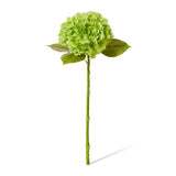 Hydrangea Classic Stem - Dark Green