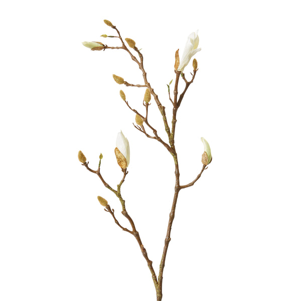 Magnolia Flowering Bud Spray