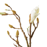Magnolia Flowering Bud Spray
