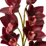 Cymbidium Lush Stem - Burgundy