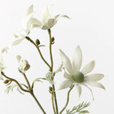 Flannel Flower Pick - Cream Green