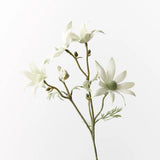Flannel Flower Pick - Cream Green