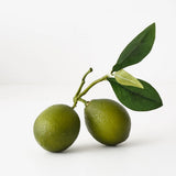 Fruit Lime Cluster with Leaf