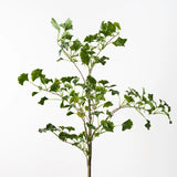 Gingko Leaf Spray - Green
