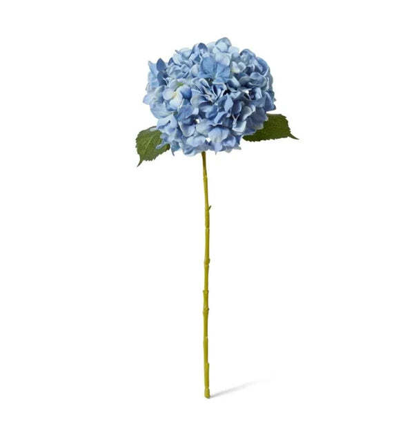 Hydrangea Classic Large Stem - Blue
