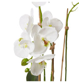 Luxe Phalaenopsis-Amiya Tall Vase - White