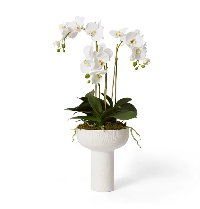 Luxe Phalaenopsis-Amiya Tall Vase - White