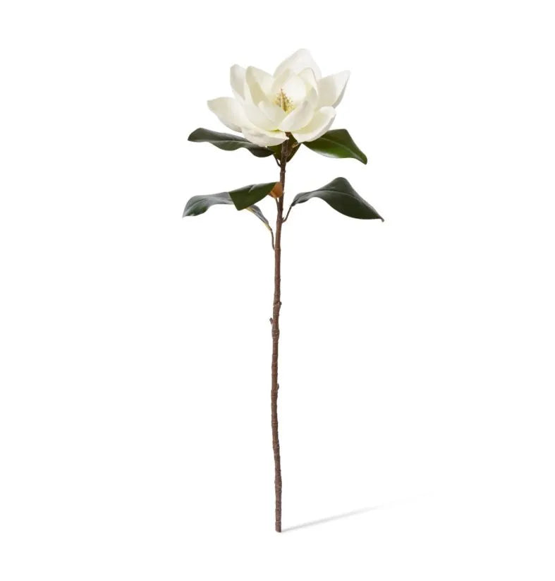 Magnolia Flower Stem - White
